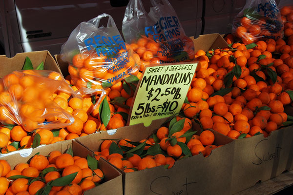 Mandarin Oranges from the Santa Barbara Farmers Market