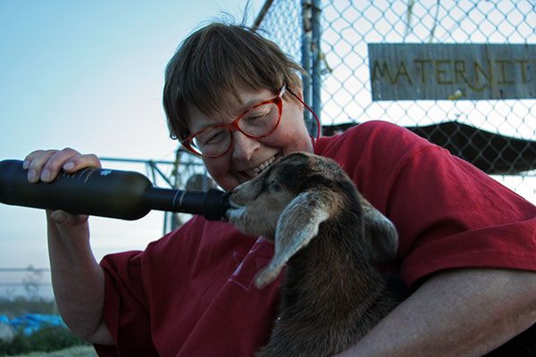 Jutta Engelhardt feeding Beau the baby goat at Chile Acres in Tonopah, Arizona