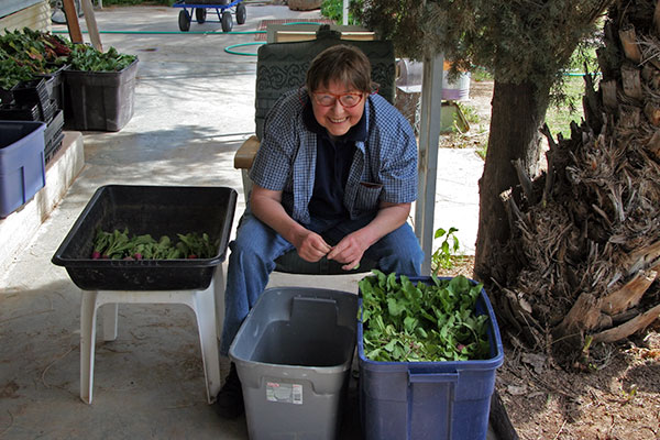 Jutta Engelhardt preparing vegetables at Tonopah Rob’s Vegetable Farm in Tonopah, Arizona
