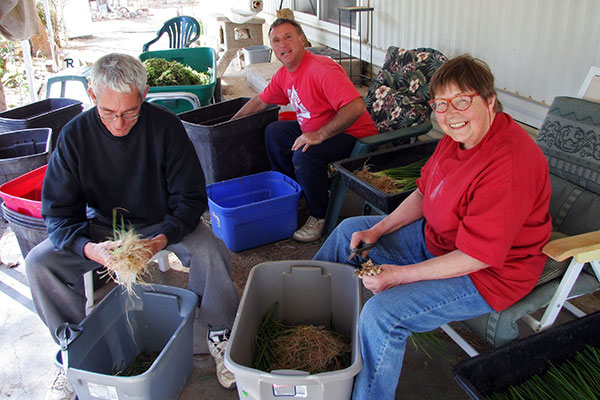 Jerry, Rob, and Jutta cleaning veggies at Tonopah Rob’s Vegetable Farm in Tonopah, Arizona
