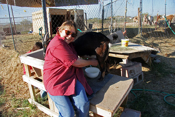 Jutta Engelhardt milking a goat at Chile Acres in Tonopah, Arizona